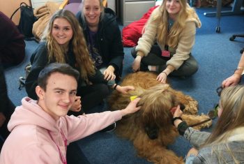 Therapy Dog and students