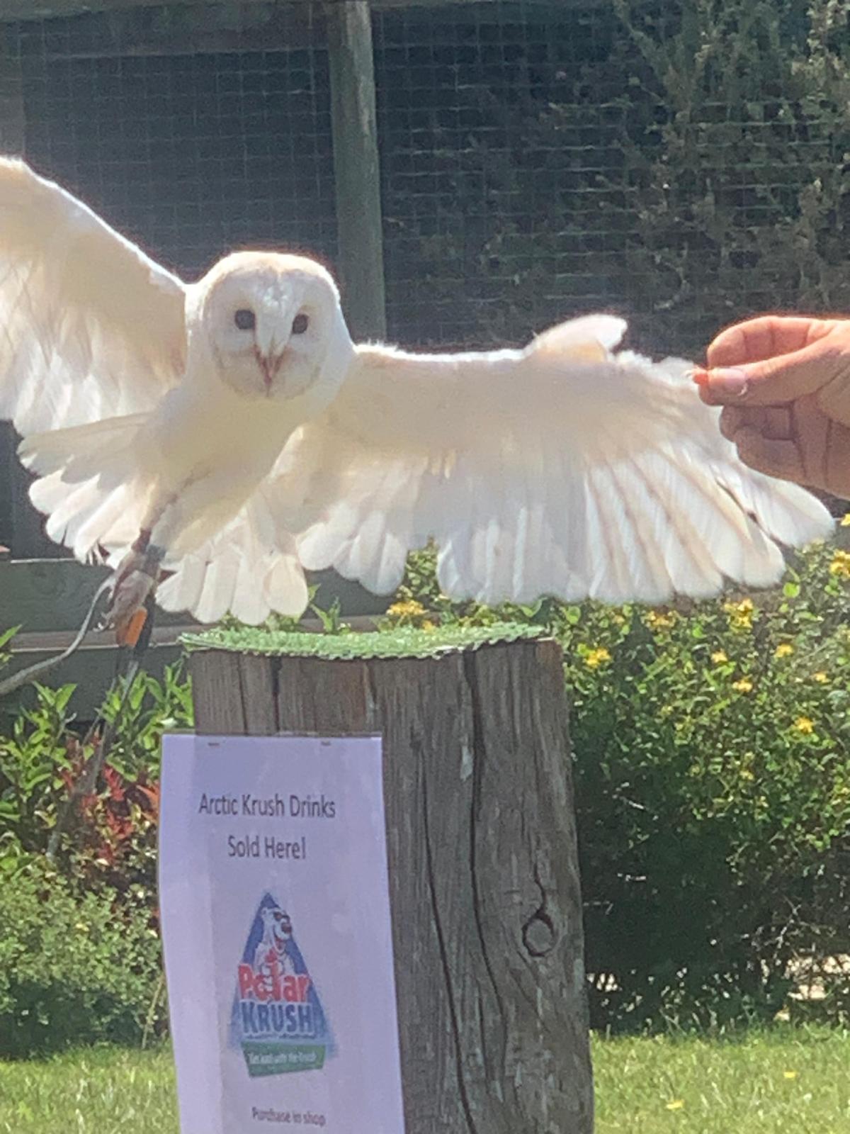 Huxley's Birds of Prey Centre, Horsham, West Sussex