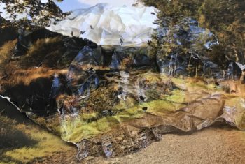 Solent 3 Keeley Webster Richardson Distrupted environment (1)