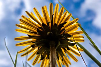 A New perspective highly commended smallversion Nick Lawrence